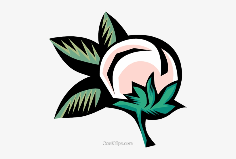 Cotton Plant Royalty Free Vector Clip Art Illustration - Cotton Plant Cotton Clip Art, transparent png