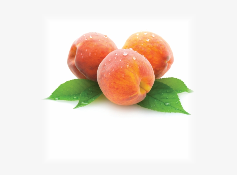 Peach - Peachbottompanties Custom Listing For James, transparent png