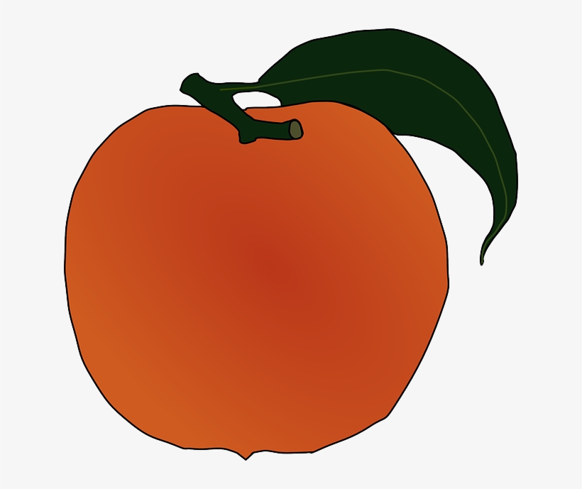 Food, Fruit, Outline, Leaf, Cartoon, Orange, Peach - Peach Clip Art, transparent png