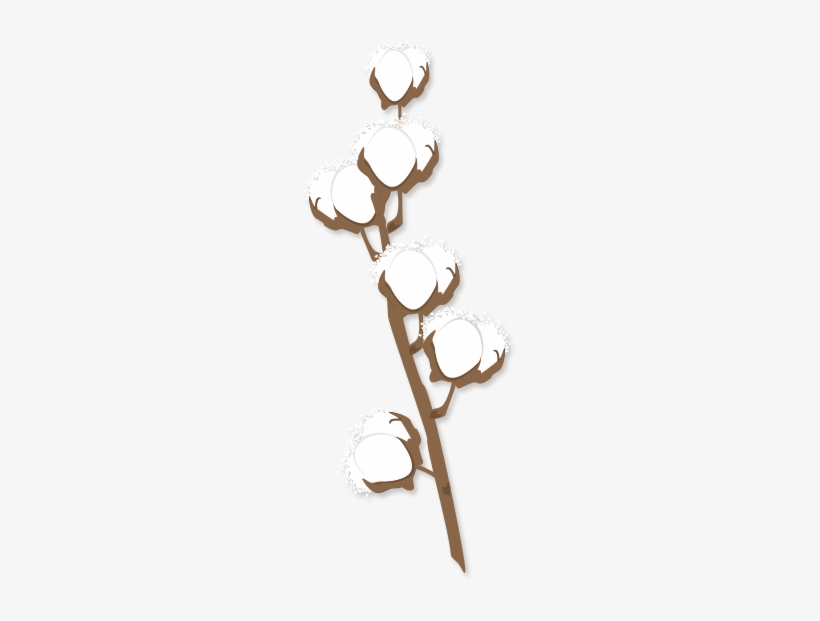 Come Walk In Tall Cotton Where The Good Life And Great - Cotton Stem Clipart, transparent png