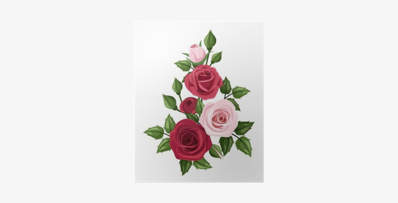 Red And Pink Roses - Rose Vector, transparent png