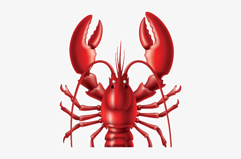 Lobster Png - Lobster Wallpaper Hd, transparent png