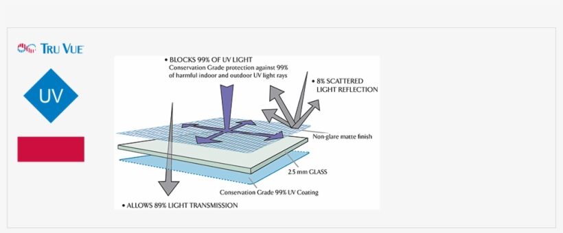 Specialist Glass - Arttoframes 24x36 Non-glare Plexi, transparent png