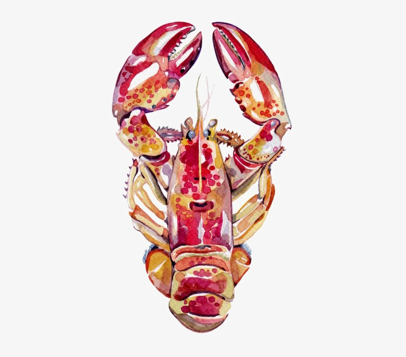 Lobster Watercolor Png - Holly Exley Sea, transparent png