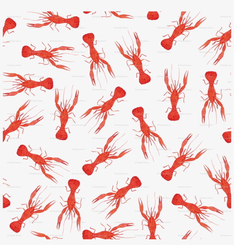 Lobster, transparent png
