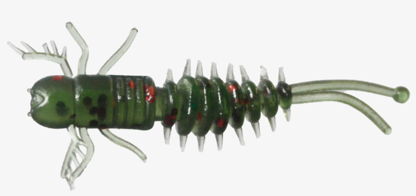 231456 - Louse, transparent png
