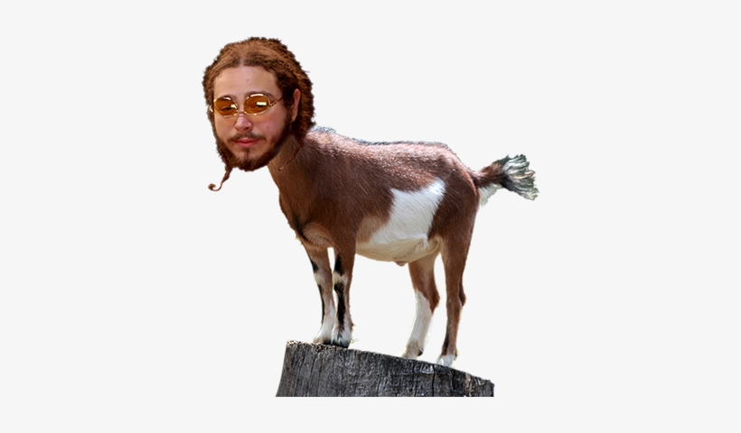 Quote - Post Malone As A Goat, transparent png