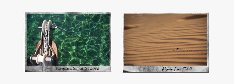 Polaroids-grand - Plywood, transparent png