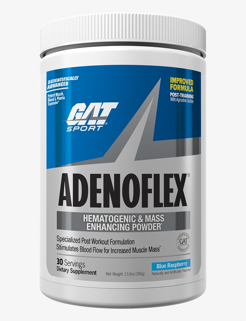 Previous - Gat Sport L-glutamine - 300g, transparent png