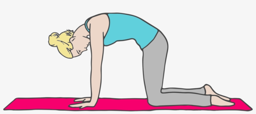 Cat Pose - Marjariasana, transparent png
