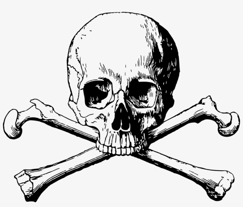 Skull Drawing Images - Skull And Bones Png, transparent png