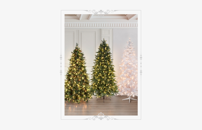 Árboles De Navidad - Tree, transparent png