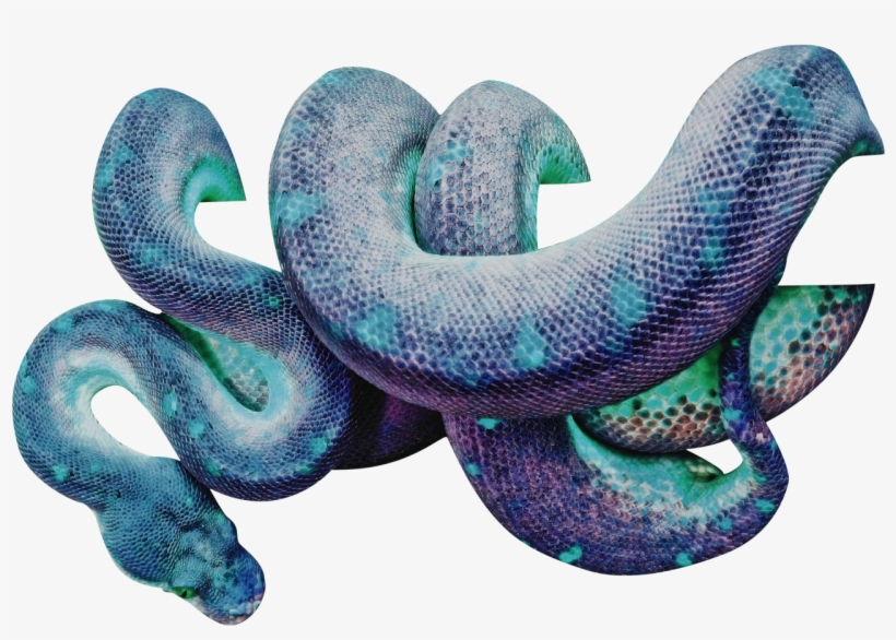 Totallytransparent Wrapping Itself Around - Snake Wrapping Around Prey ...