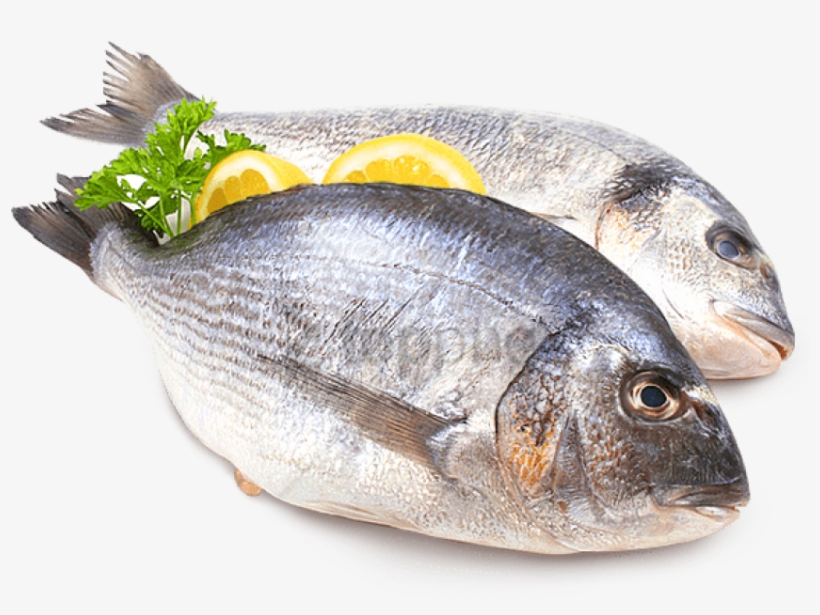 Free Png Fish Meat Png Png Image With Transparent Background - Pescado Png, transparent png