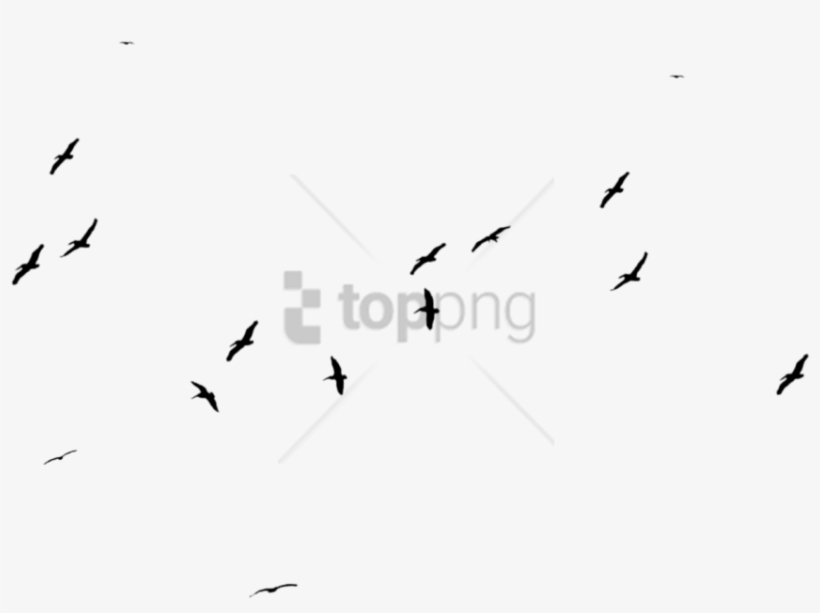 Free Png Large Black Birds Stock Png Image With Transparent - Flock, transparent png