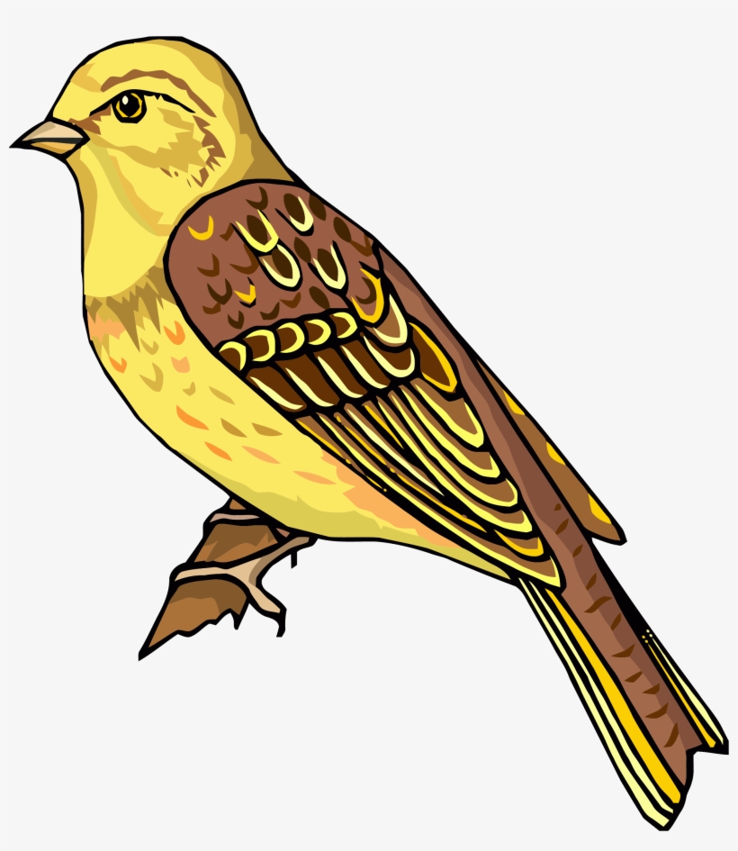 Staying Realistic Bird Clipart Png - Clipart Pictures Of Bird, transparent png
