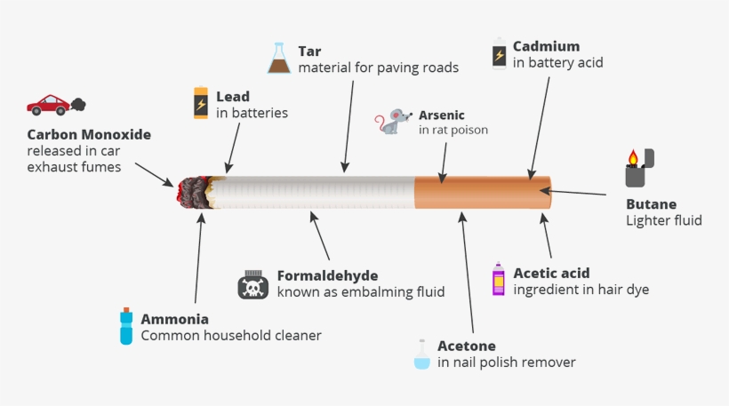 Smoking The Facts - Whats In A Smoke, transparent png