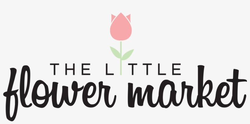 Instagram, transparent png