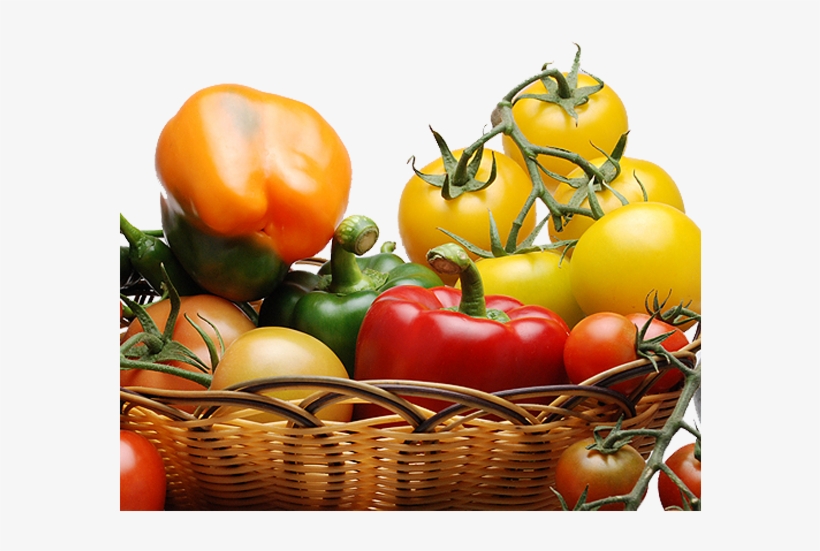 Contact - Cherry Tomatoes, transparent png
