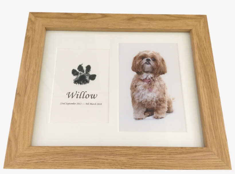 Dog Paw Print In Wood Frame With Photograph Using Inkless - Picture Frame, transparent png