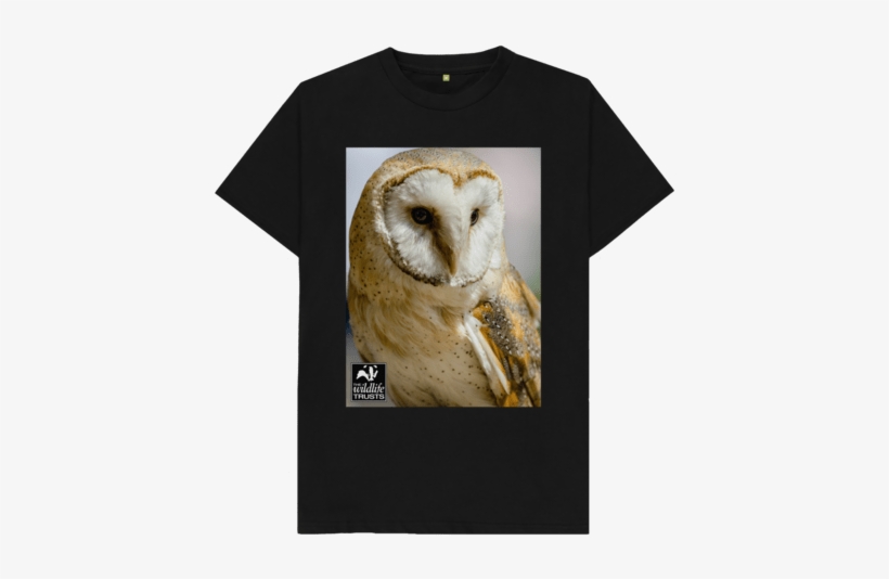 Barn Owl Kid's T-shirt - Camisetas Catrachas, transparent png
