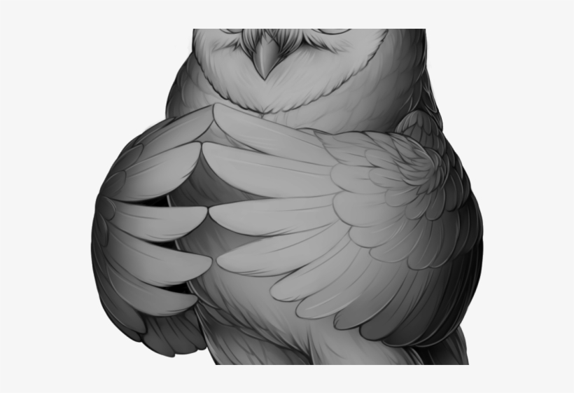 Barn Owl Cartoon - Cartoon Great Horned Owl, transparent png