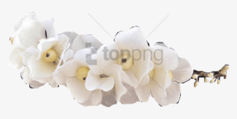 Free Png Tumblr Transparent Flower Crown Png Image - Transparent White Flower Crown, transparent png