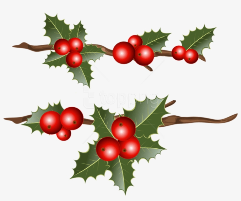 Free Png Holly Branches Png Images Transparent - Holly Png Free, transparent png