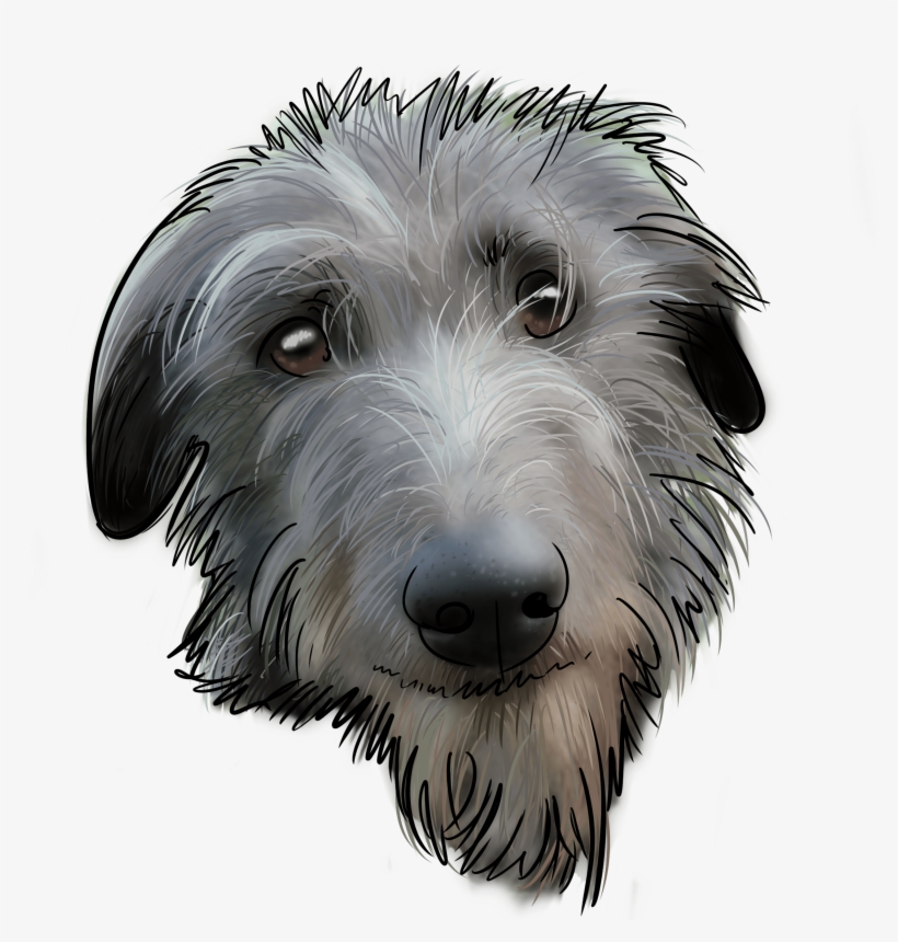 The - Sapsali, transparent png