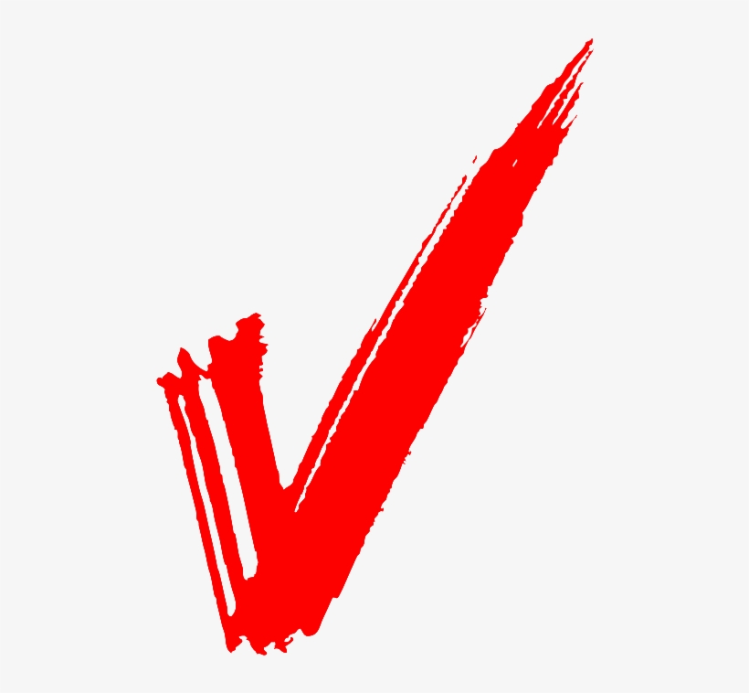 Cellphone Printout With Location And Calls - Transparent Background Red Check Mark Png, transparent png