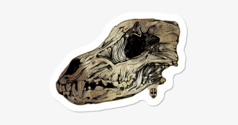 Animal Skull Ii $3 - Illustration, transparent png