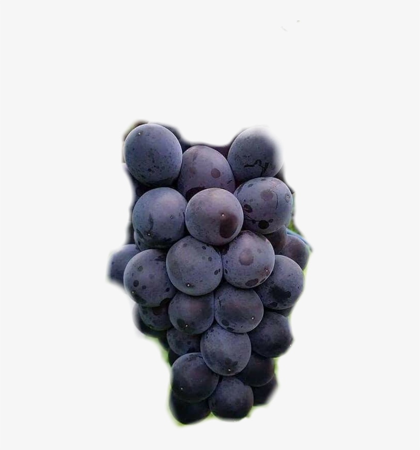 #uvas - Grape, transparent png