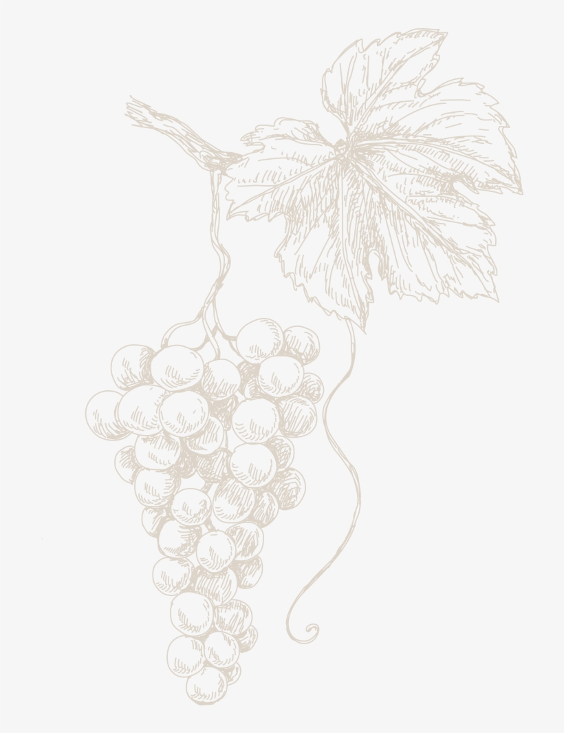 Technical Data Sheet - Sketch, transparent png