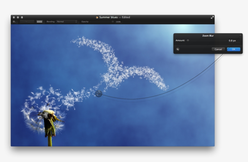 Step - Herb, transparent png