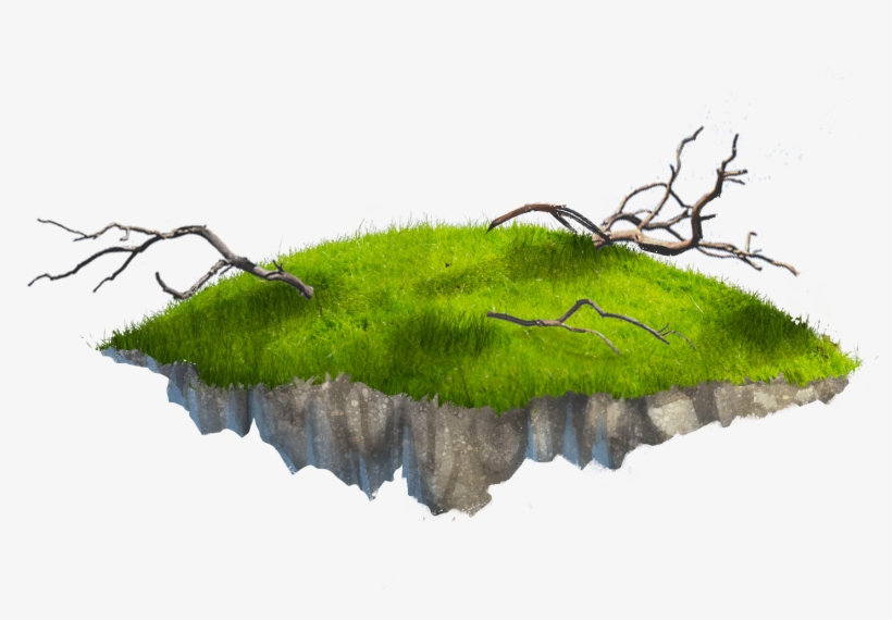 Stake And Make - Grass, transparent png