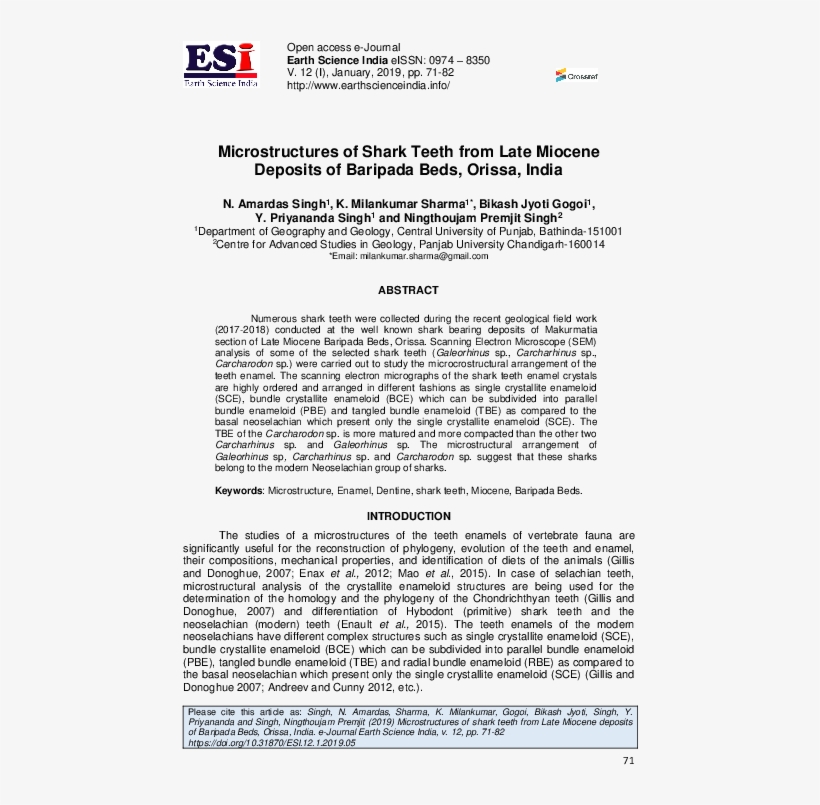 Pdf - Adjusting Foundations, transparent png