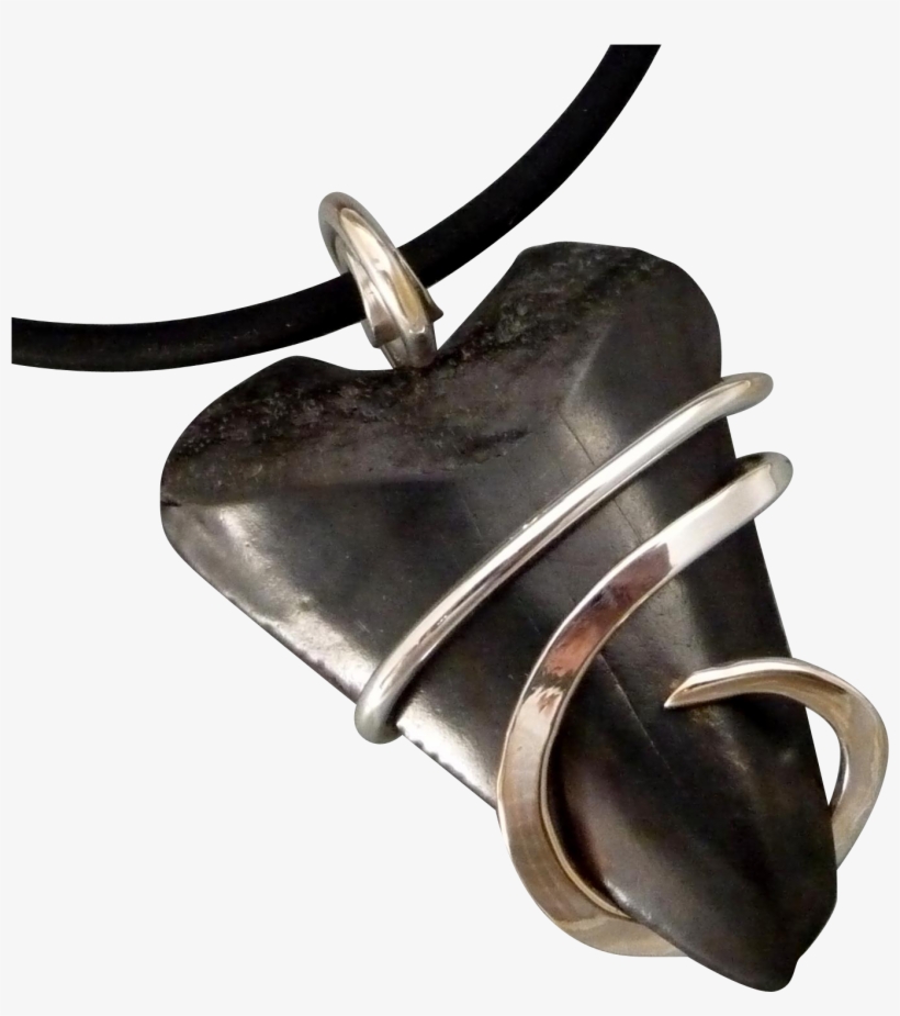 Fossilized Great White Shark Tooth Wrapped Pendant - Pendant, transparent png