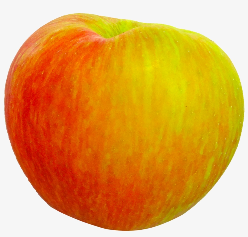 Honeycrisp Apple Fruit Food Png Image - Mcintosh, transparent png
