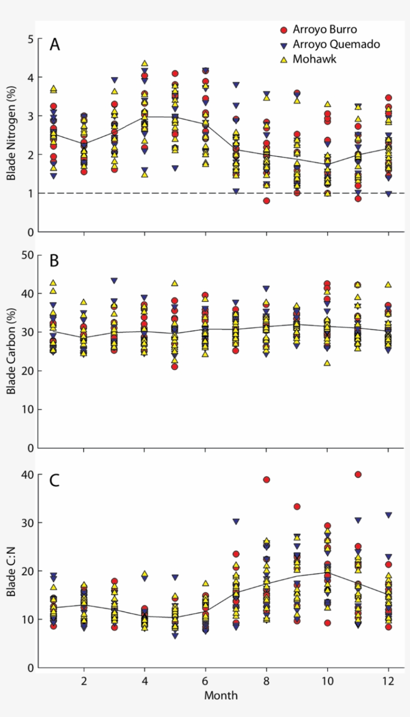 Annual Cycle Of Giant Kelp Blade Nitrogen Content As - Number, transparent png