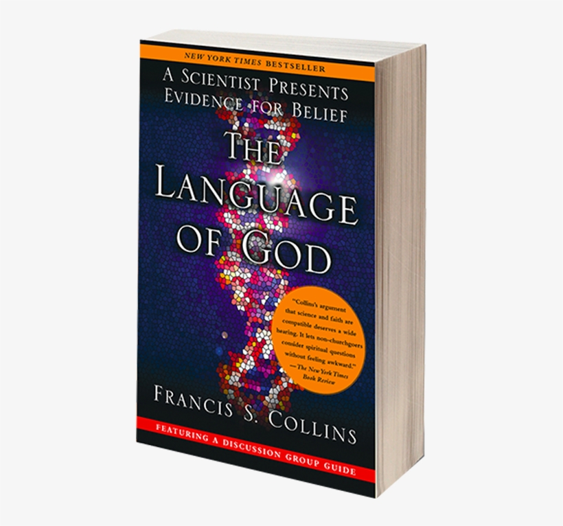 Learn More - Graphic Design, transparent png