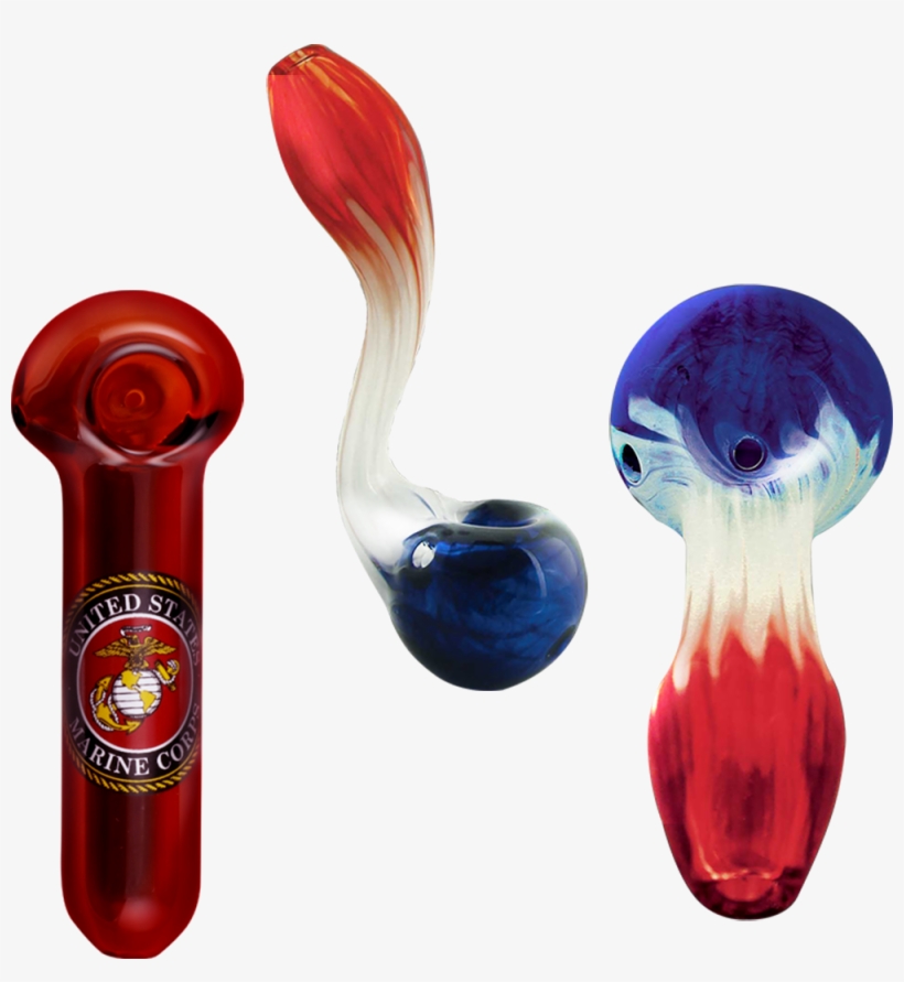 Cnidaria, transparent png