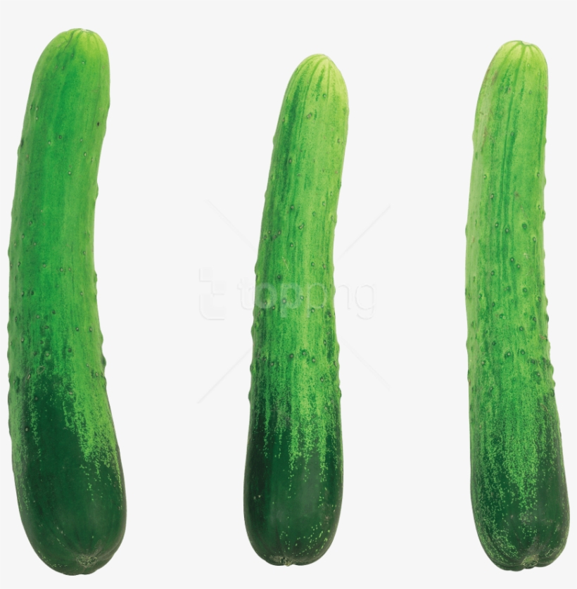 Download Cucumber Png Images Background - Cucumber, transparent png