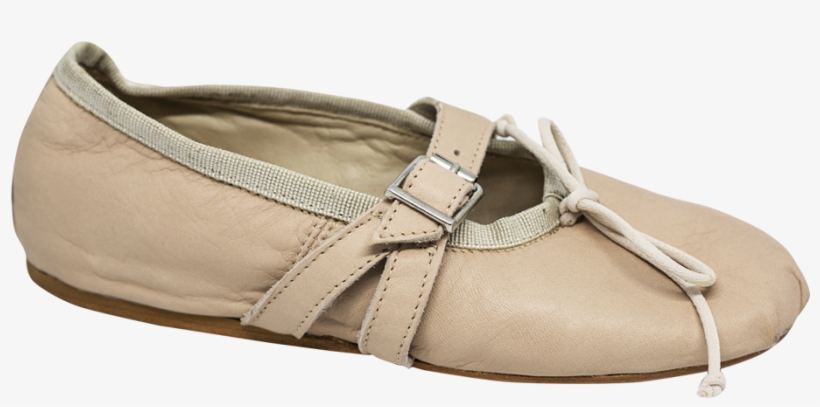 Buckled Ballerina Shoes - Ballet Flat, transparent png