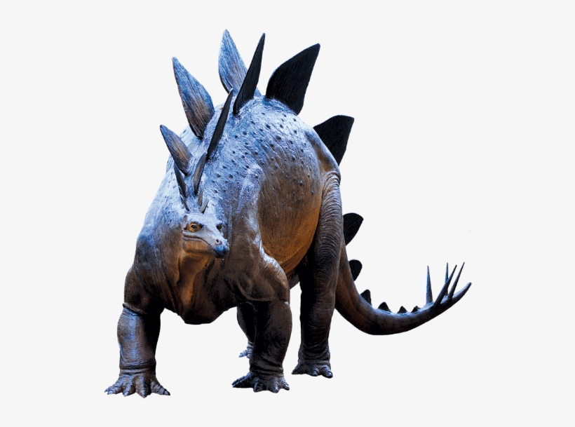 Pterosaurs Special Exhibit - Triceratops, transparent png