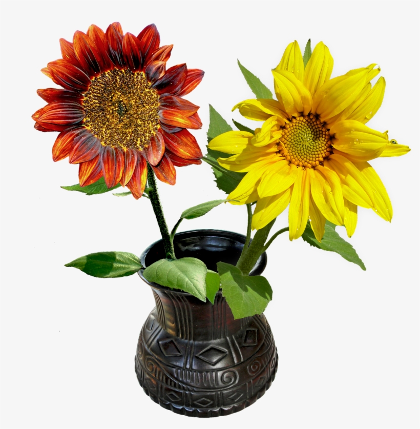 Vase Flowers Sunflowers Png Image - Vase, transparent png