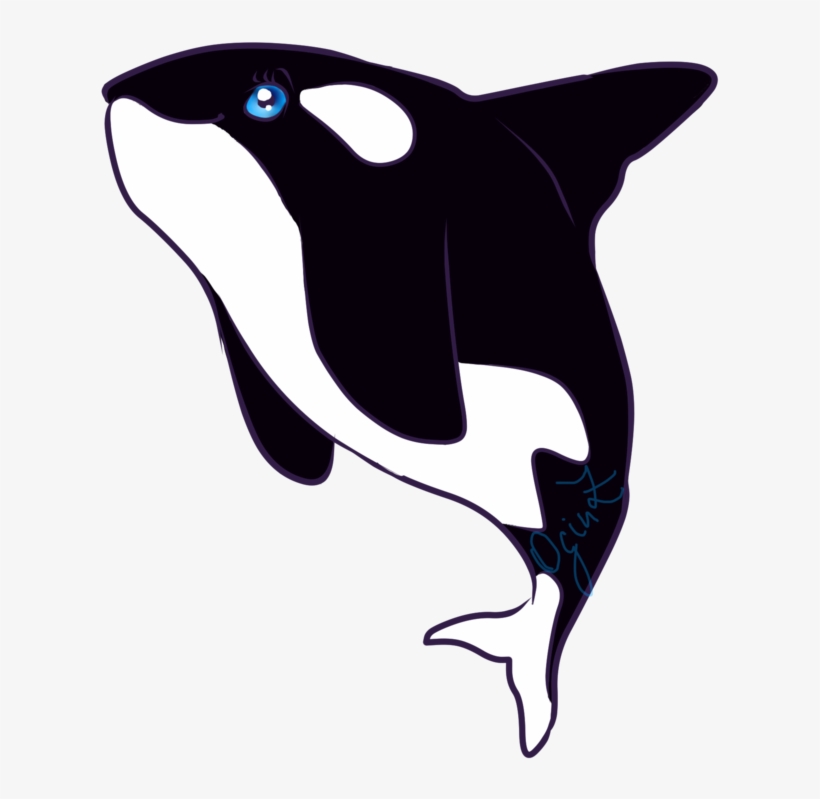 Rp Chibi By - Killer Whale Chibi, transparent png