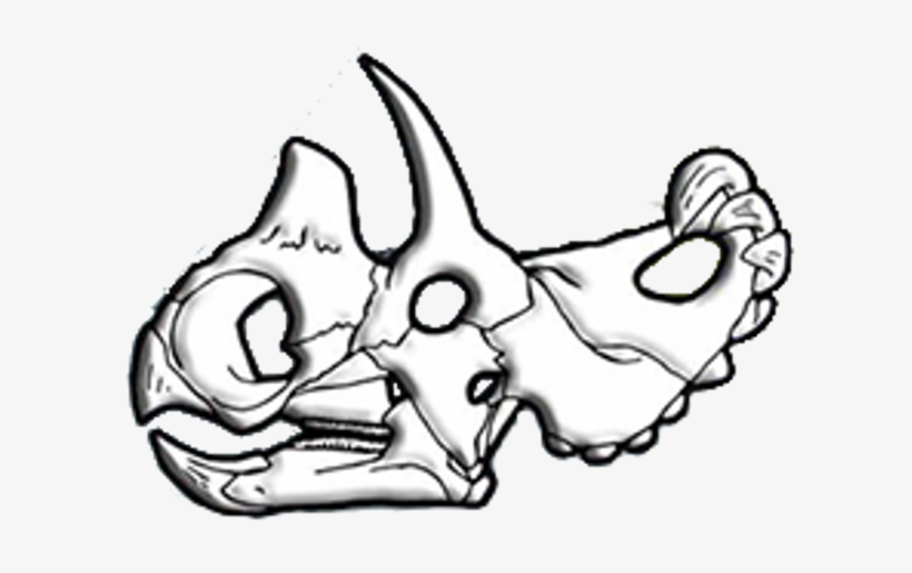 Wendiceratops Skull Diagram - Drawing, transparent png