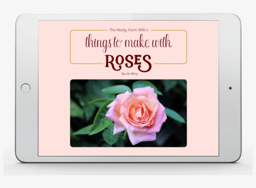 Check Out Jan Berry's Ebook “things To Make With Roses” - Rose, transparent png