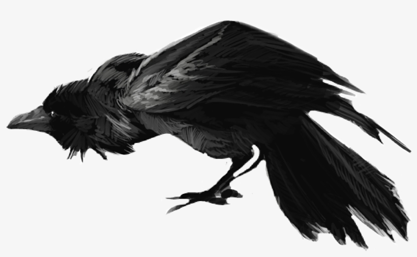 Banner Download Crow Clipart Scary - Raven Drawing, transparent png
