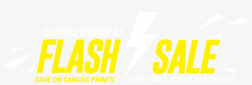 Canvas Champ, transparent png